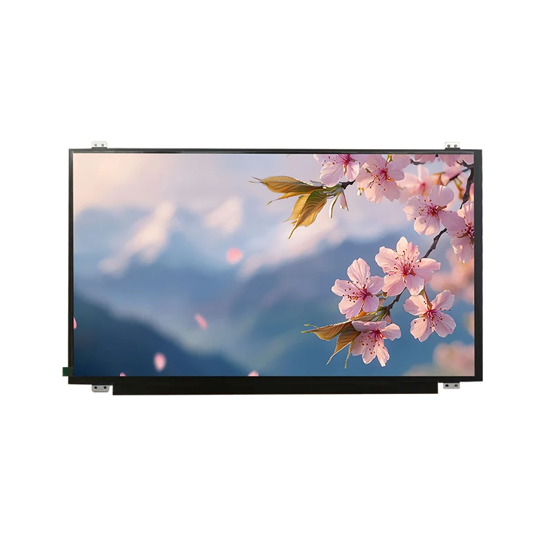 15.6 'HD幅の温度IPS TFT LCDスクリーンモジュール